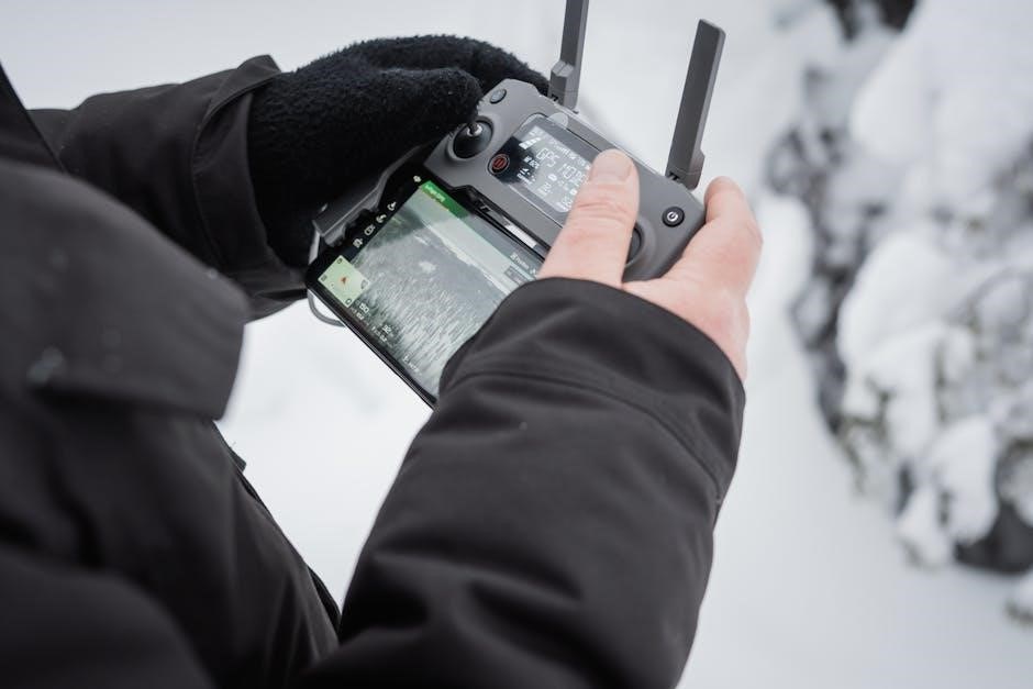 gazco remote control user manual pdf