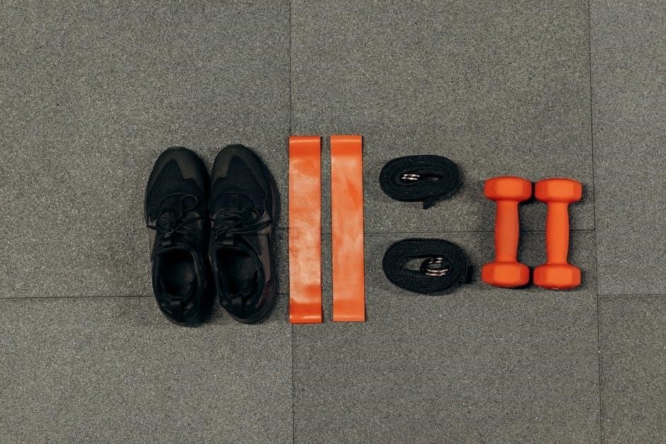 functional training program pdf