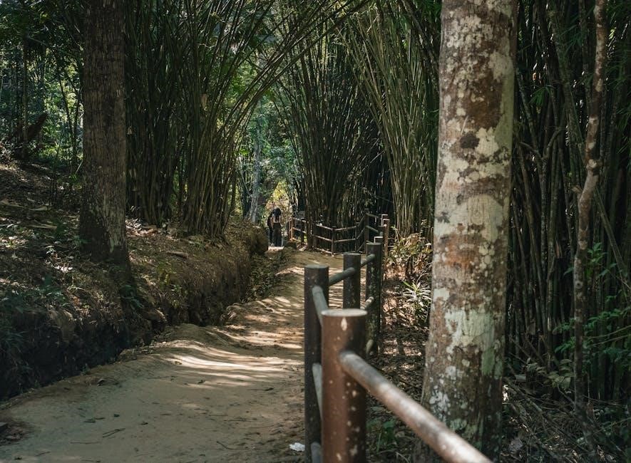 manco 763 model t manual pdf free download